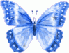 butterfly_012.gif