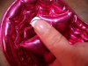 100_1419.jpg