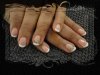 DSC01465.jpg