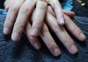 DSC01010.jpg