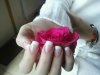 2011-01-25_12_56_34.jpeg