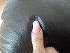 DSC01164.jpg