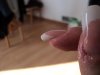 DSC01169.jpg
