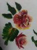 image-737458908.jpg