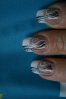 FEVRIER 2011 026.jpg