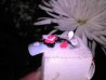 2011-02-17_22-57-31_327.jpg