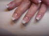 DSC00156.jpg