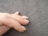 DSC04372.JPG