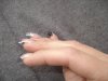 DSC04374.JPG