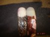 DSC07538.JPG