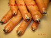 DSC07543.JPG