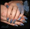 papillon2-small.jpg
