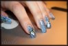 papillon3-small.jpg