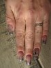 IMG_5558.jpg