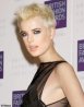 agyness_deyn_et_sa_coupe_courte_punky_image_sousdossier_portrait.jpg
