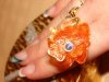 DSC02581.jpg