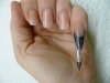 1ers ongles gel (2) - stage Euro Nail Formation - 14 03 2011 p.jpg