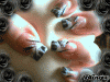 703899957_892405.gif