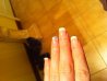 IMG_0523.jpg IMG_0523.jpg
