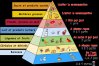 pyramide_alimentaire.jpg