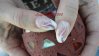ongles 23 mars 2011 003.jpg