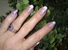 DSC00343.jpg