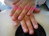 DSC06456.jpg