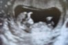 DSCF4395.jpg