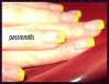 DSC02044.jpg