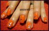 DSC01681.jpg