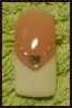DSC02017.jpg