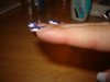 DSC05009.jpg