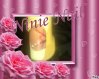 pixiz_4d8b7b9a68e15.jpg