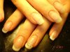 DSC07756.JPG