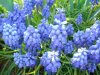Photo 042.jpg