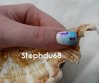 poisson japonaisstephdu68.jpg