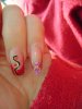 DSC02415.jpg