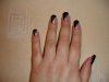 DSC00192.jpg
