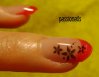 DSC02056.jpg