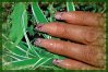 DSC00501.jpg