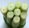 nwhiteonion_small[1].jpg