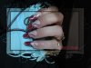 DSC01904.jpg