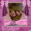pied good night.jpg