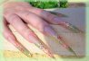 DSCN4433.JPG