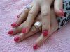 DSC01792.jpg