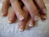 DSC00480.jpg
