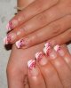 DSC00540.jpg