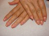 DSC00639.jpg