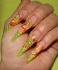 DSC00600.jpg