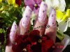 DSC08319.jpg